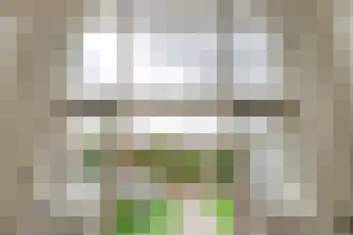 Koopmanstraat 18 Uden thumbnail 8
