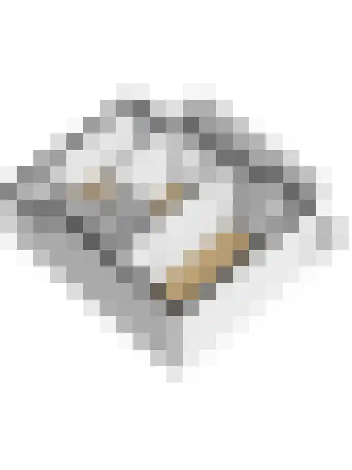Koornmarkt 48 B Delft thumbnail 38