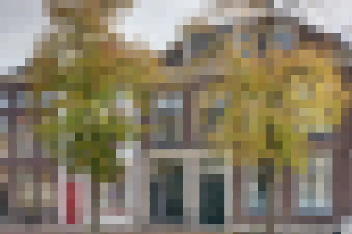 Koornmarkt 48 D Delft thumbnail 18