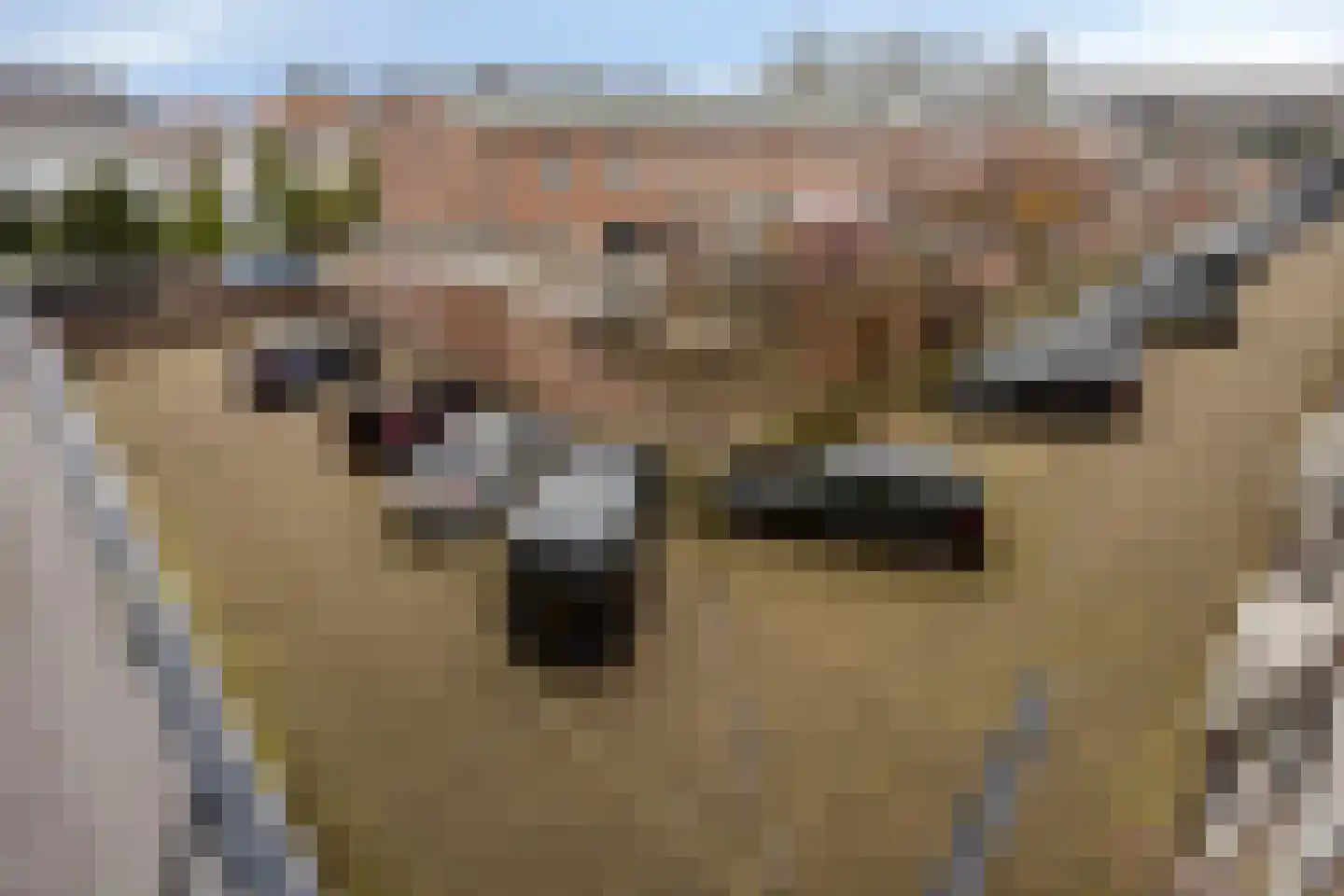 Koornstraat 109 Oss thumbnail 20