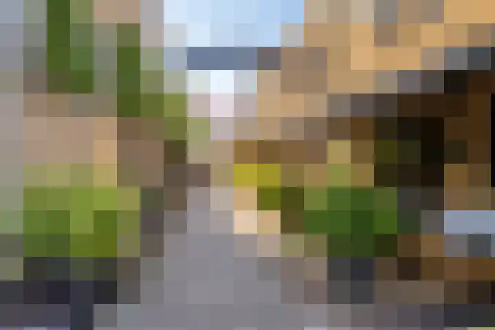 Koornstraat 7 A Oss thumbnail 23