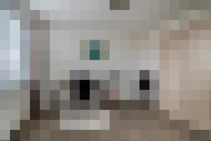 Kop van Het Ruim 17 Dronten thumbnail 19