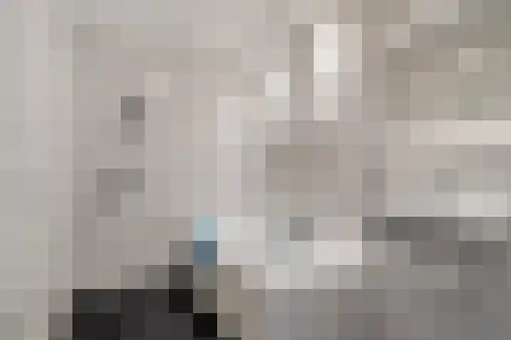 Kop van Het Ruim 17 Dronten thumbnail 28