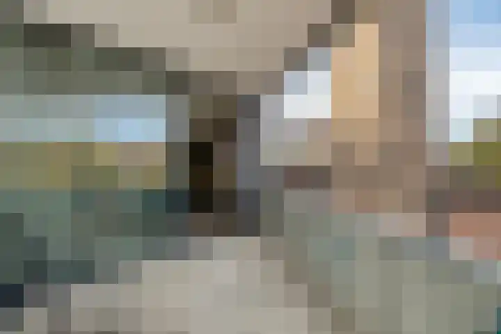 Kop van Het Ruim 17 Dronten thumbnail 30