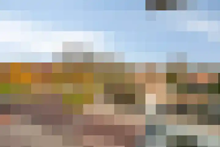 Kop van Het Ruim 17 Dronten thumbnail 40