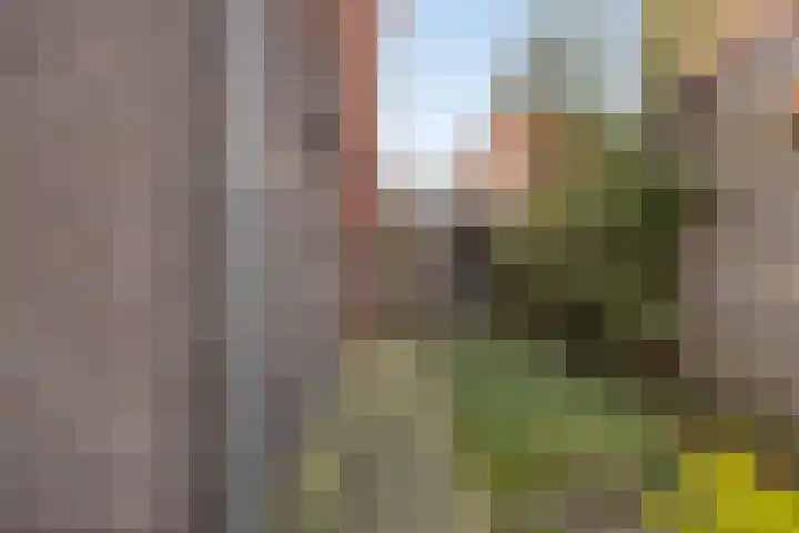 Kopacker 6 Malden thumbnail 38