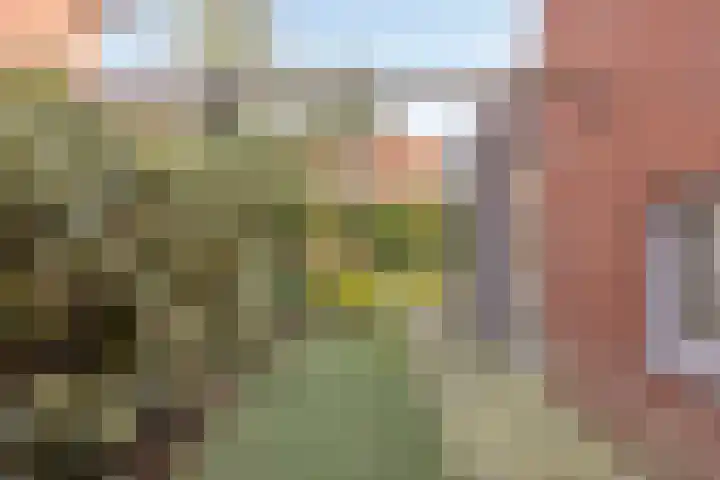 Kopacker 6 Malden thumbnail 40