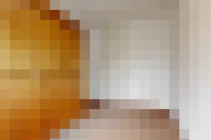 Kopakker 59 Purmerend thumbnail 12
