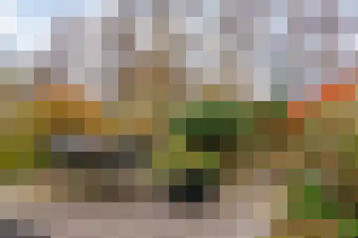 Kopakker 59 Purmerend thumbnail 27