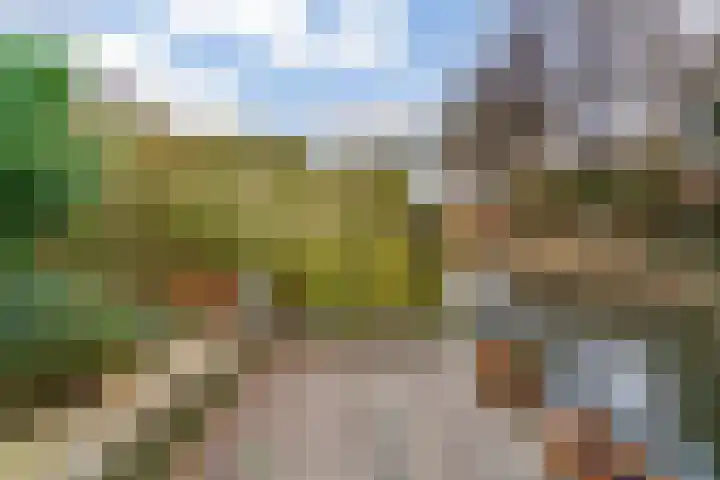 Kopakker 59 Purmerend thumbnail 29