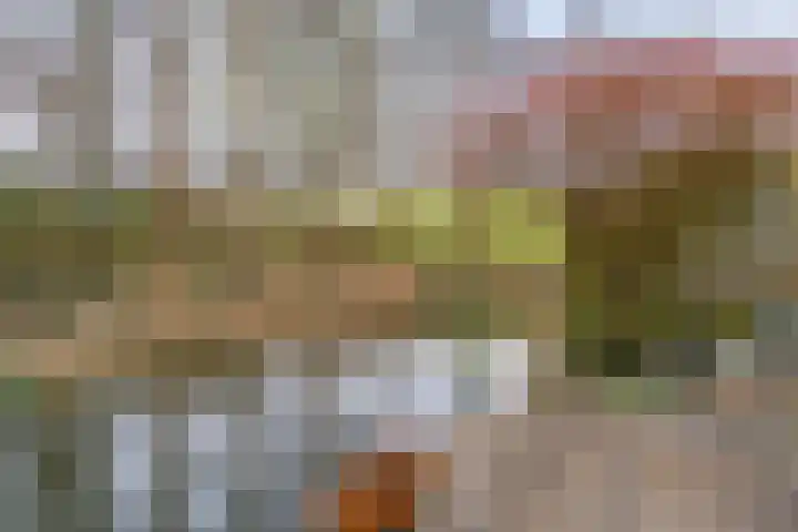 Kopakker 59 Purmerend thumbnail 30