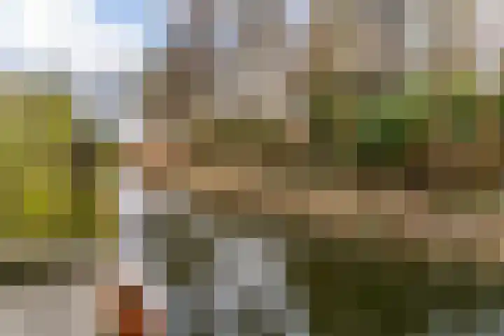 Kopakker 59 Purmerend thumbnail 31