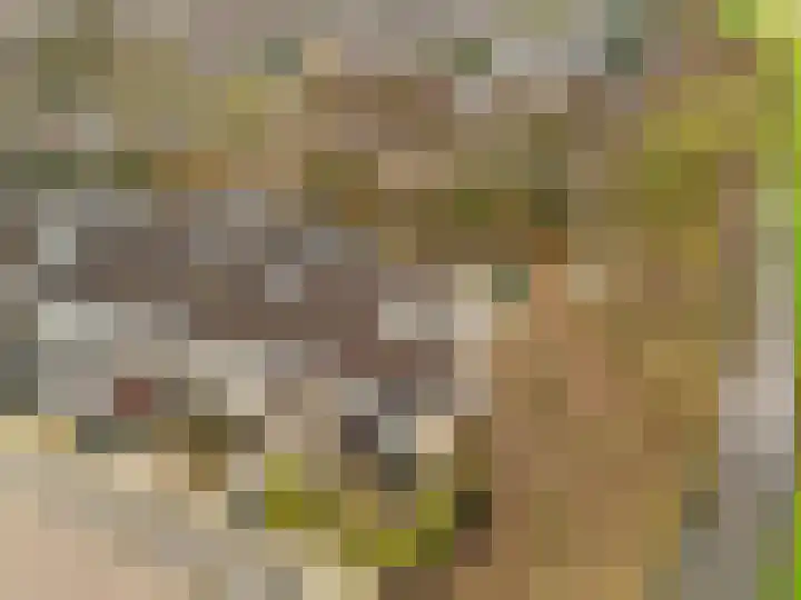 Kopakker 59 Purmerend thumbnail 32