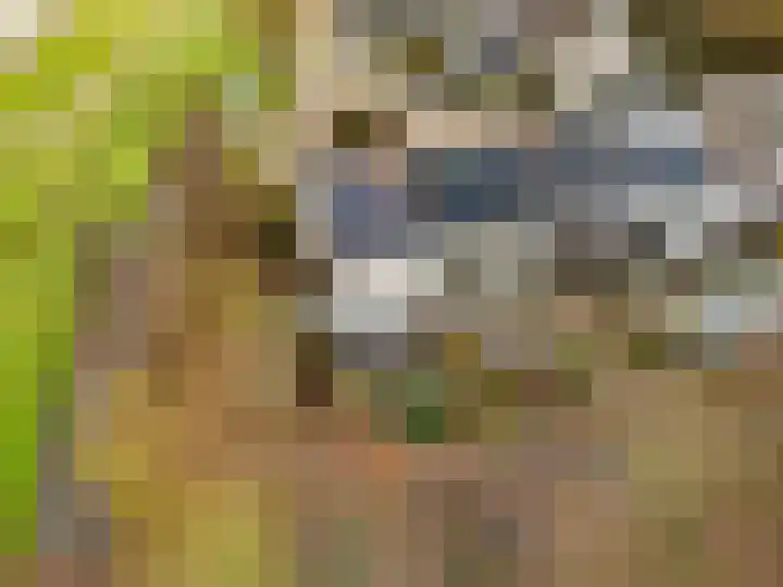 Kopakker 59 Purmerend thumbnail 33
