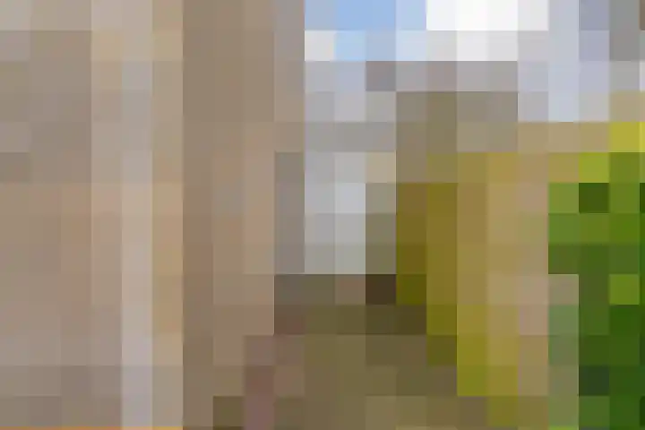 Kopakker 59 Purmerend thumbnail 38