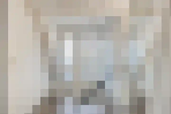 Kopdammerdijk 7 Grootschermer thumbnail 19