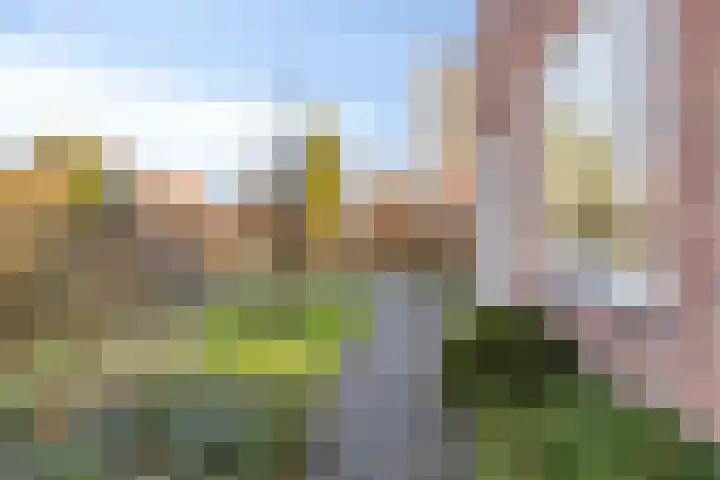 Kopdammerdijk 7 Grootschermer thumbnail 36