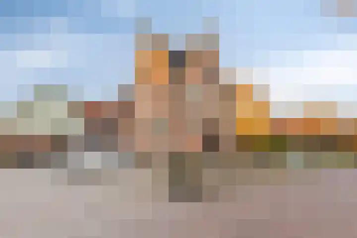 Kopdammerdijk 7 Grootschermer thumbnail 46