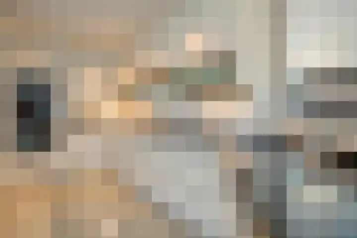 Kopermolenring 11 Lochem thumbnail 10