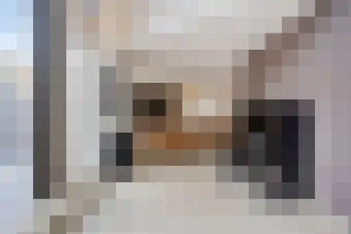 Kopermolenring 11 Lochem thumbnail 12