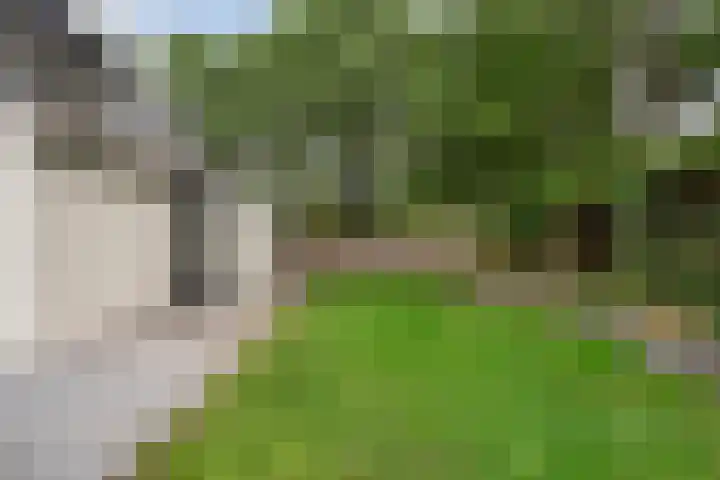 Kopermolenring 11 Lochem thumbnail 34