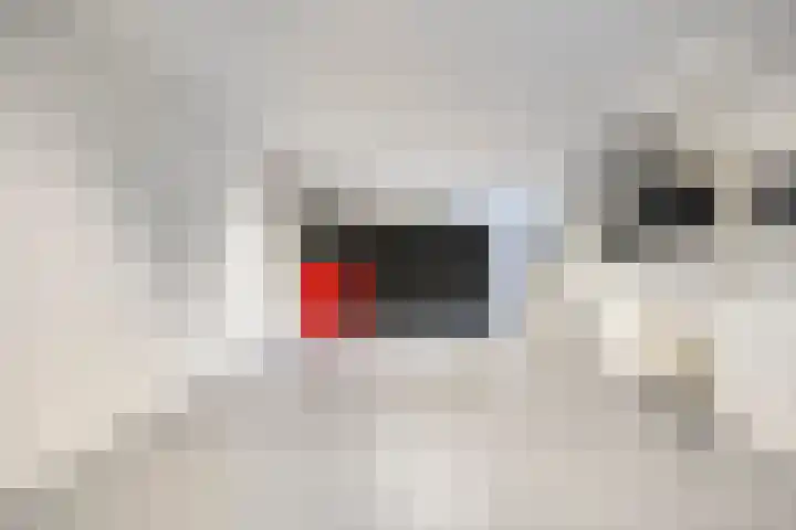 Kopermolenring 11 Lochem thumbnail 38