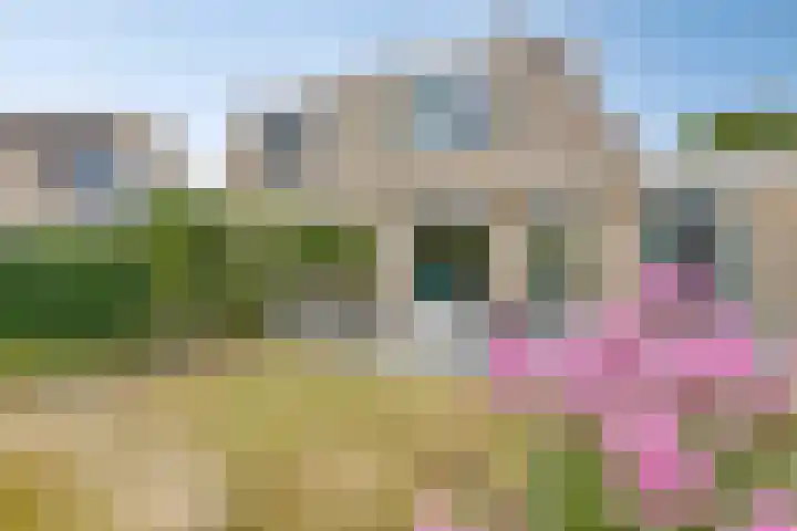 Kopermolenring 25 Lochem thumbnail 36