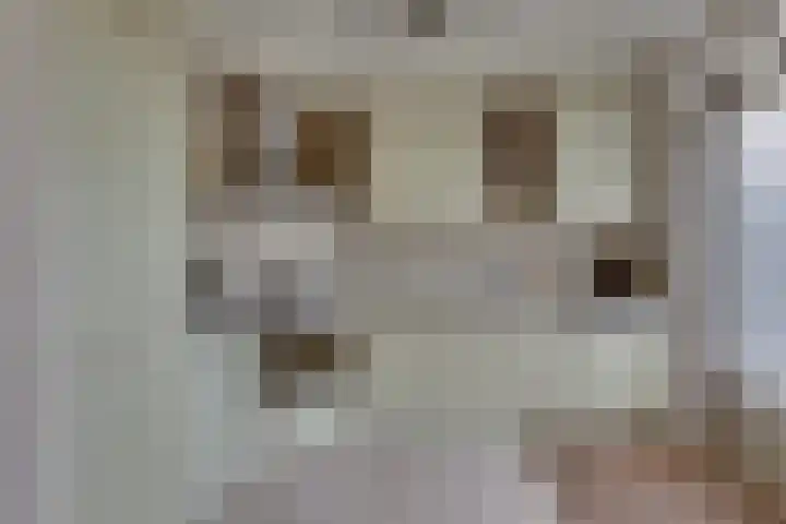 Kopermolenring 64 Lochem thumbnail 9