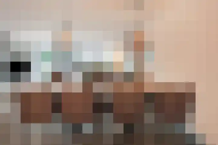 Kopervlinder 1 Amersfoort thumbnail 10