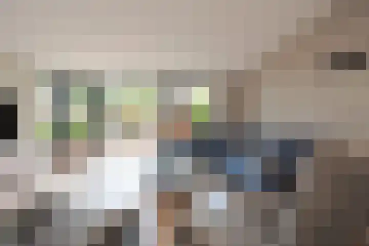 Kopervlinder 1 Amersfoort thumbnail 12