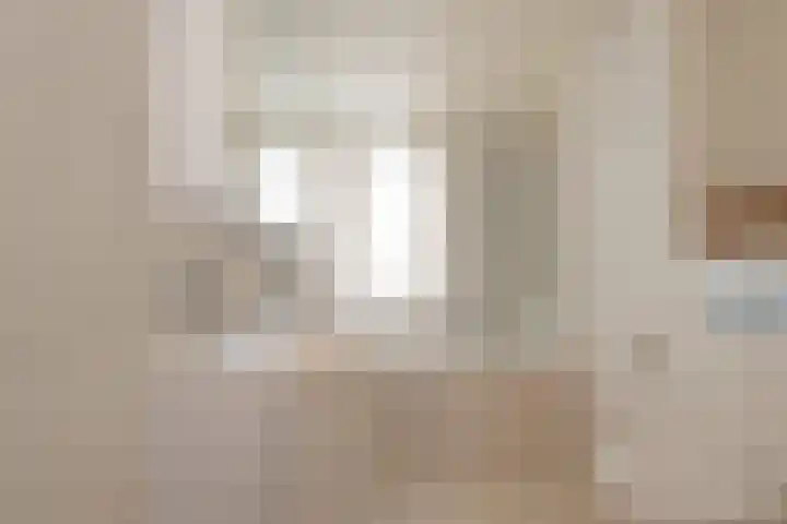 Kopervlinder 1 Amersfoort thumbnail 16