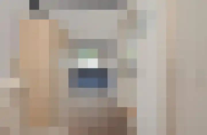 Kopervlinder 1 Amersfoort thumbnail 23