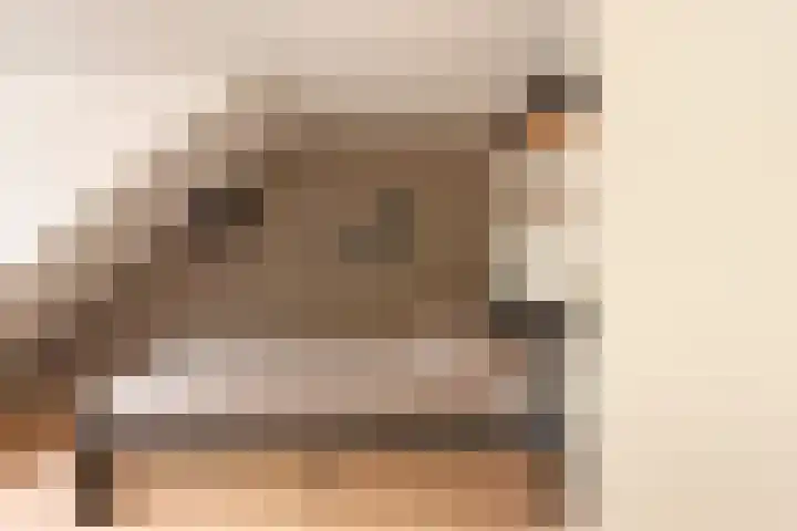 Kopervlinder 1 Amersfoort thumbnail 25