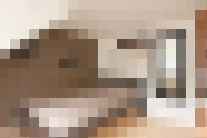 Kopervlinder 1 Amersfoort thumbnail 27