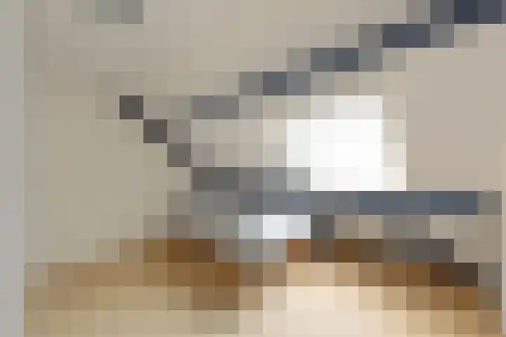 Kopervlinder 1 Amersfoort thumbnail 28