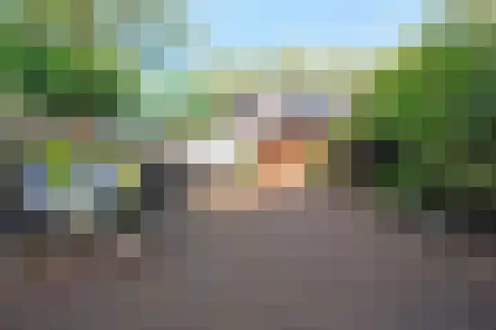Kopervlinder 1 Amersfoort thumbnail 33