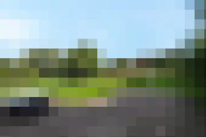 Kopervlinder 1 Amersfoort thumbnail 34