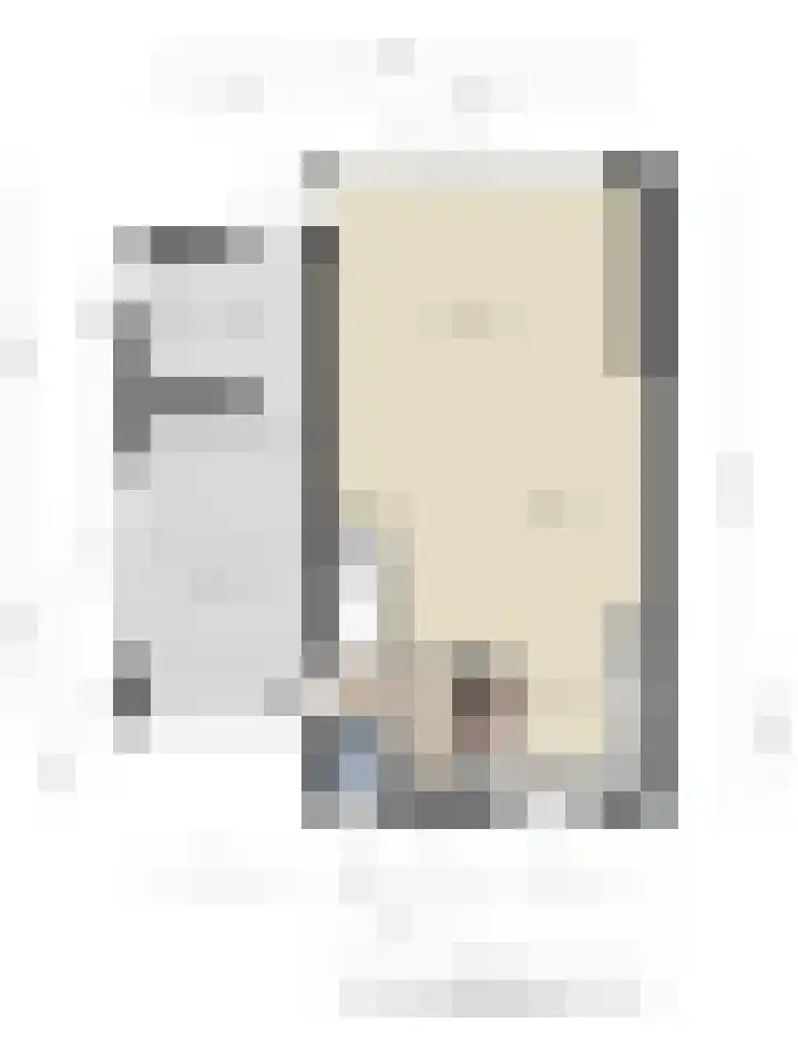 Kopervlinder 1 Amersfoort thumbnail 36