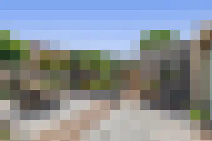 Koperwiek 18 Waspik thumbnail 23