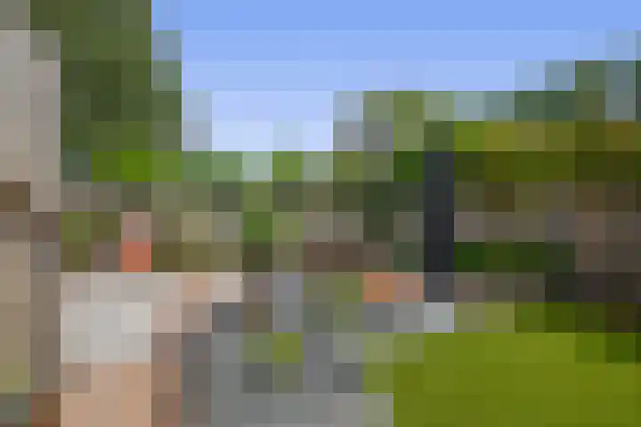 Koperwiek 18 Waspik thumbnail 26