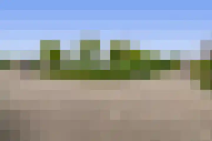 Koperwiek 18 Waspik thumbnail 38