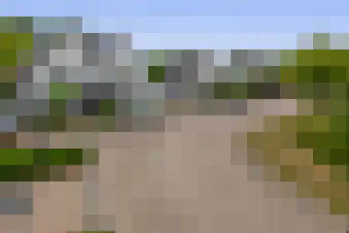 Koperwiek 18 Waspik thumbnail 4