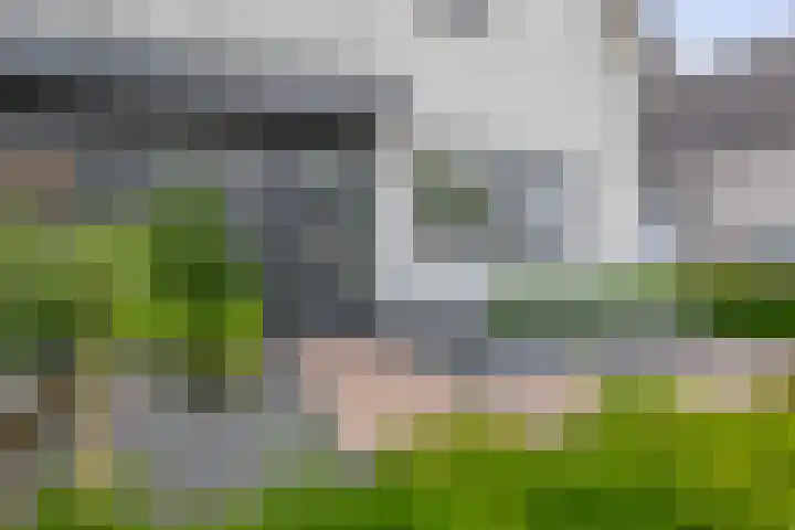 Koperwiek 18 Waspik thumbnail 7