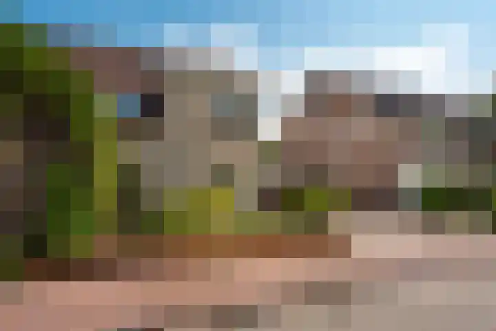 Koperwiek 2 B Soest thumbnail 35