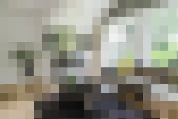 Koppelen 22 Steensel thumbnail 10