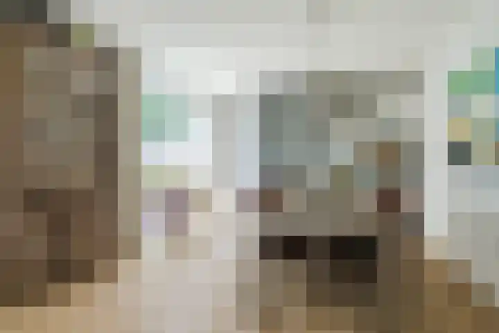 Koppelen 22 Steensel thumbnail 12