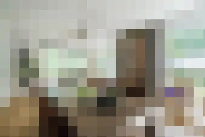 Koppelen 22 Steensel thumbnail 14