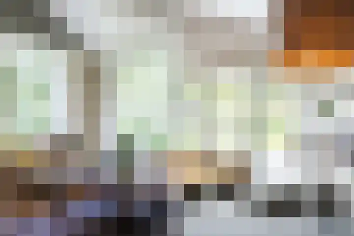 Koppelen 22 Steensel thumbnail 23