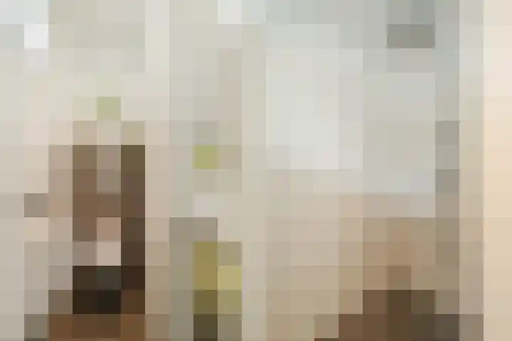 Koppelen 22 Steensel thumbnail 38