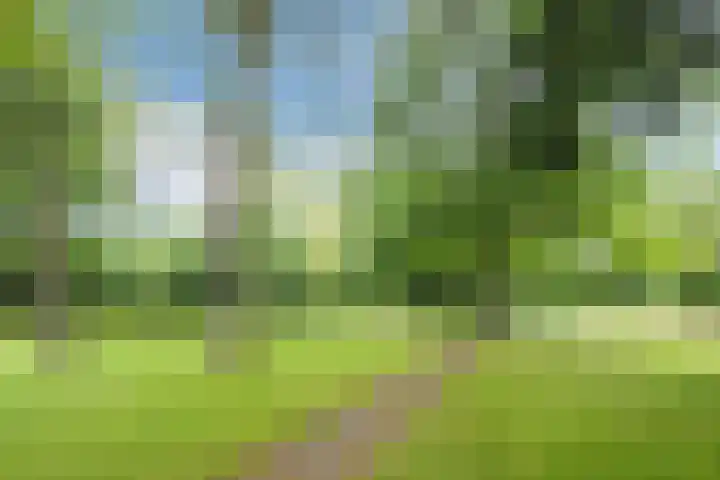 Koppelen 22 Steensel thumbnail 4